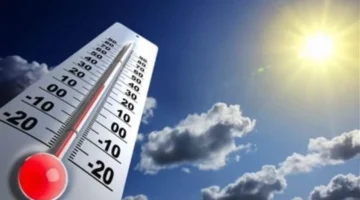 انخفاض قياسي.. درجات الحرارة في كاترين تلامس الصفر وصقيع يهدد المحاصيل الزراعية